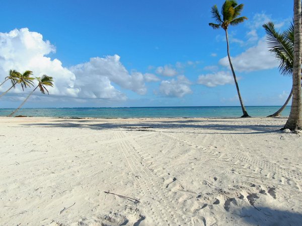 Comment organiser un camping pour une expédition de plongée en Indonésie?